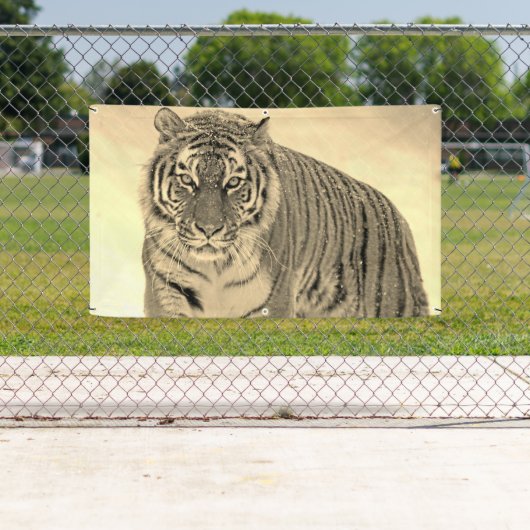 Tiger Banner (Insitu)