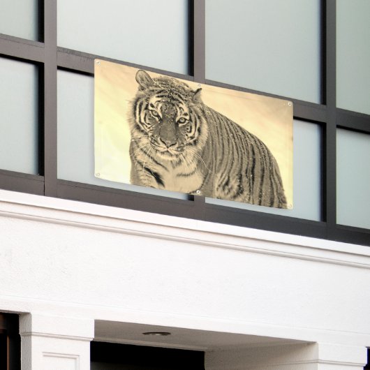 Tiger Banner (Äußeres Gebäude)