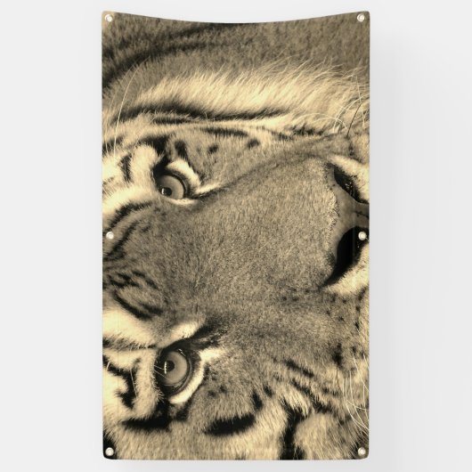 TIGER Banner MIT GROMMET (Vertikal)