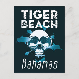 Tiger Beach Bahamas Shark Diving Postkarte