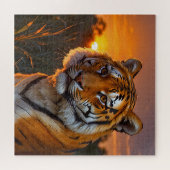 Tiger bei Sonnenuntergang Puzzle (Horizontal)