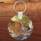 Tiger Bengali Schlüsselanhänger (Vorderseite)
