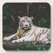 Tiger Beverage Coaster Getränkeuntersetzer (Vorderseite)