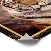 Tiger Big Cat Foto Image Print Poster (Ecke)