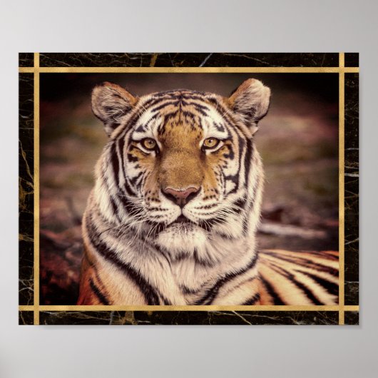 Tiger Big Cat Foto Image Print Poster (Vorne)