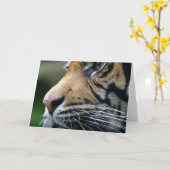 Tiger-Bild-Gruß-Karte Karte (Gelbe Blume)