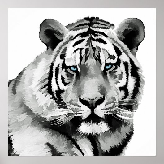 Tiger Black and White Blue Augen Poster (Vorne)