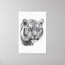 Tiger - Bleistift Gezeichnet mit blauen Augen