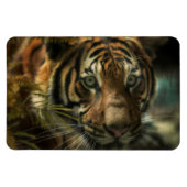 TIGER BODEN ZERO MAGNET (Horizontal)