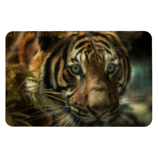 TIGER BODEN ZERO MAGNET (Horizontal)