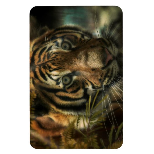 TIGER BODEN ZERO MAGNET (Vertikal)