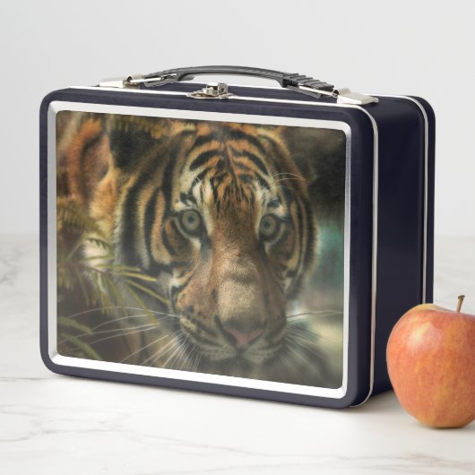 TIGER BODEN ZERO METALL BROTDOSE (Beispiel)