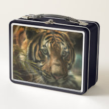 TIGER BODEN ZERO