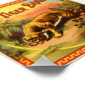 Tiger Brand 1900 Poster (Ecke)