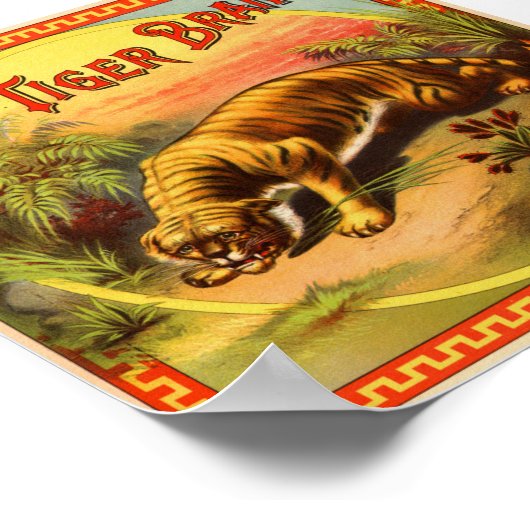 Tiger Brand 1900 Poster (Ecke)