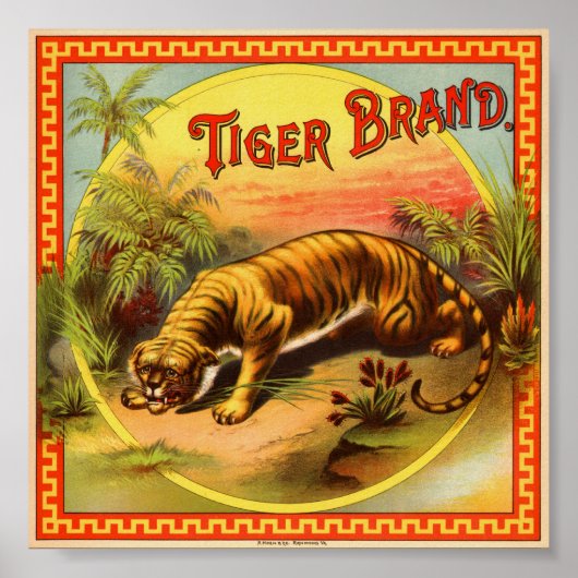 Tiger Brand 1900 Poster (Vorne)