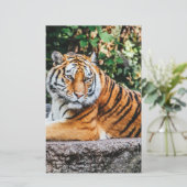 Tiger Briefpapier (Stehend Vorderseite)