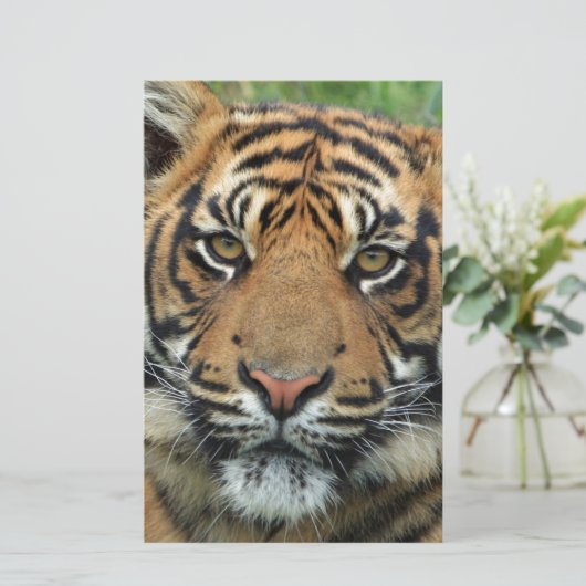 Tiger Briefpapier (Stehend Vorderseite)