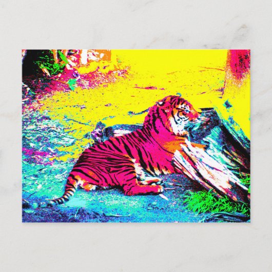 Tiger Bright Postkarte (Vorderseite)
