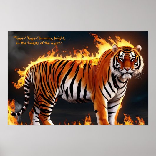 Tiger Burning Poster (Vorne)