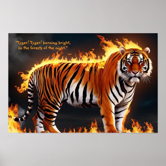 Tiger Burning Poster (Vorne)