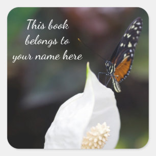 Tiger Butterfly "Dieses Buch gehört" Aufkleber