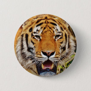 Tiger Button