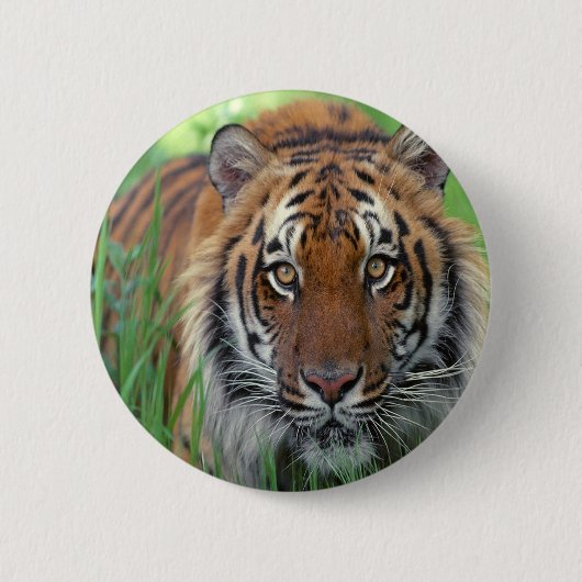 Tiger Button (Vorderseite)