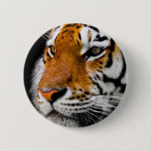 Tiger Button (Vorderseite)