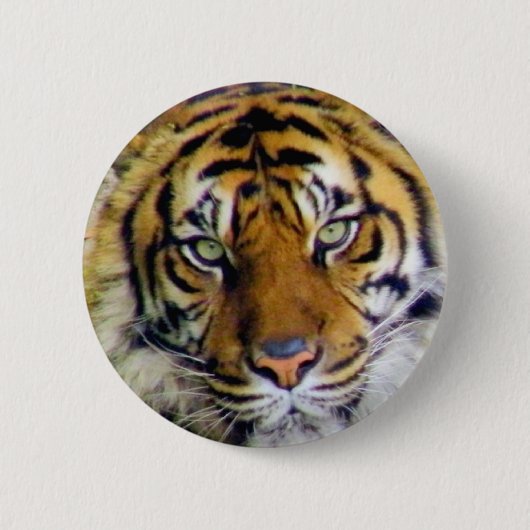 Tiger_ Button (Vorderseite)