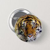 Tiger_ Button (Vorne & Hinten)