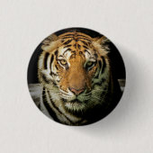 Tiger Button (Vorderseite)