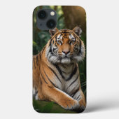 Tiger Case-Mate iPhone Hülle (Rückseite)