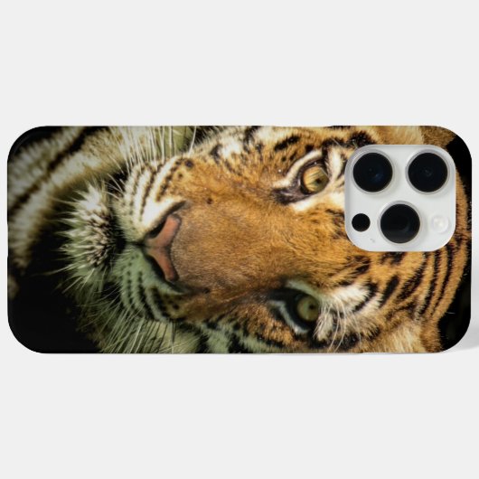 Tiger Case-Mate iPhone Hülle (Rückseite (Horizontal))