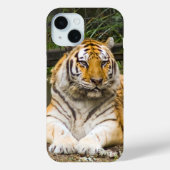 Tiger Case-Mate iPhone Hülle (Rückseite)
