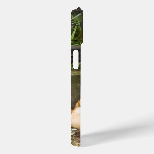 Tiger Case-Mate iPhone Hülle (Rückseite / Rechts)