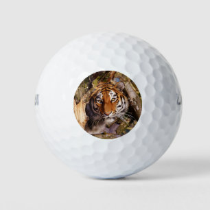 Tiger Cat Animal Stripes Muster Destiny Destiny's Golfball