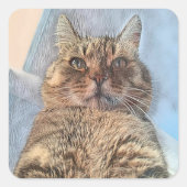 Tiger Cat Illustration Design Quadratischer Aufkleber (Vorderseite)