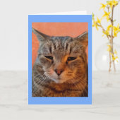 Tiger Cat Miss You Karte (Gelbe Blume)