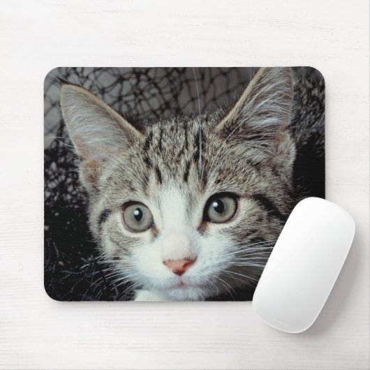 Tiger Cat Mousepad (Mit Mouse)