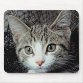 Tiger Cat Mousepad (Vorne)