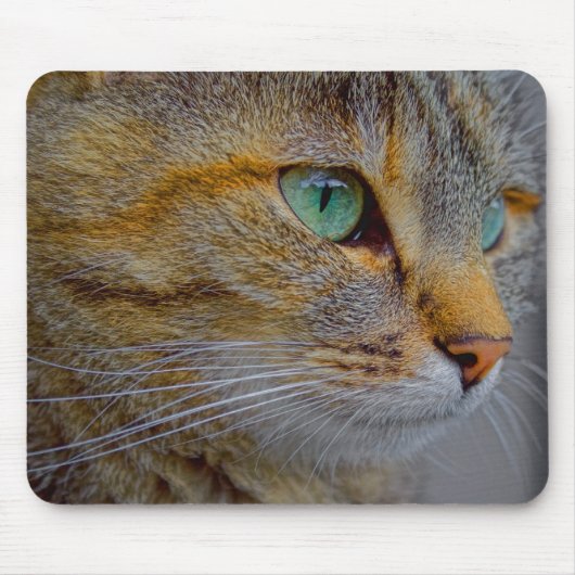 Tiger Cat Portrait Mousepad (Vorne)