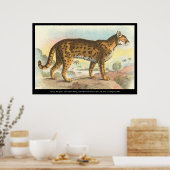 Tiger-Cat Poster (Küche)