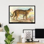 Tiger-Cat Poster (Heimbüro)