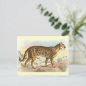 Tiger-Cat Postkarte (Stehend Vorderseite)