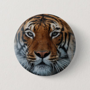 Tiger Cat Stripes Jungle Mist Animal Button