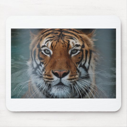Tiger Cat Stripes Jungle Mist Animal Mousepad (Vorne)
