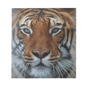 Tiger Cat Stripes Jungle Mist Animal Notizblock