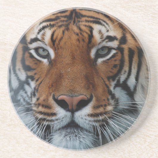 Tiger Cat Stripes Jungle Mist Animal Untersetzer (Vorne)