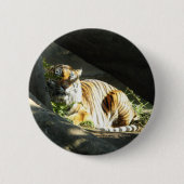 Tiger Catnap Button (Vorderseite)